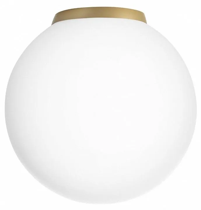 Накладной светильник Citilux RON CL941D20B2