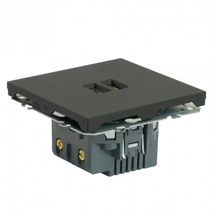 Розетка 2хUSB type A и C без рамки Stekker Эмили 49853