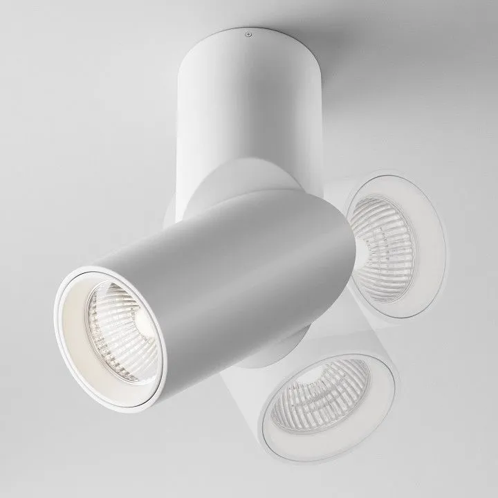 Светильник на штанге Maytoni Technical Дафна C027CL-L10W4K