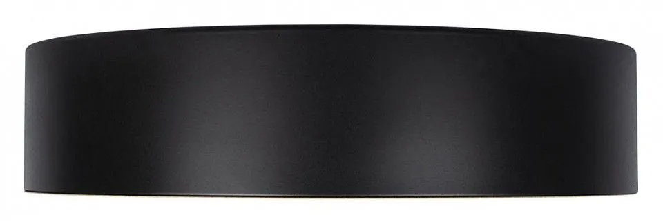 Накладной светильник Loft it Coin 10202 Black