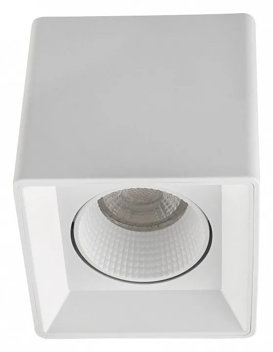 Накладной светильник Denkirs DK3020WW DK3080-WH Накладной светильник Denkirs DK3020WW DK3080-WH