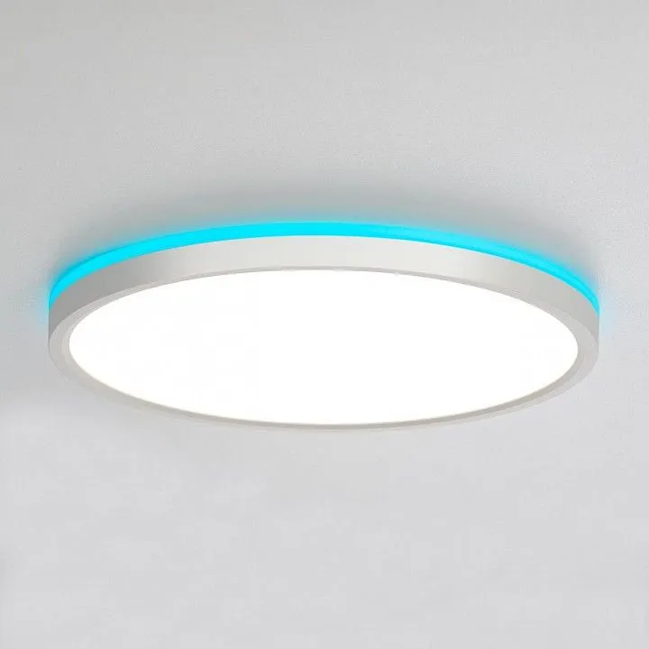 Накладной светильник Citilux Norma CL749320
