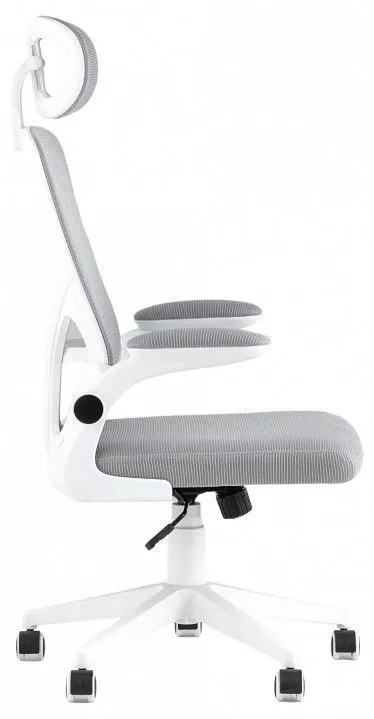 Кресло компьютерное TopChairs Airone