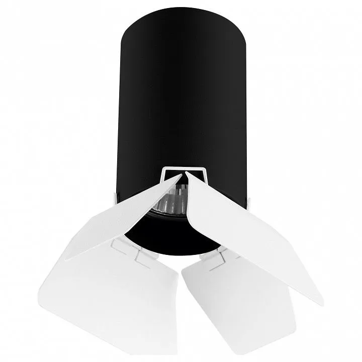 Накладной светильник Lightstar Rullo R437436