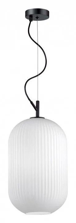 Подвесной светильник Odeon Light Roofi 4752/1