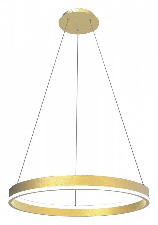 Подвесной светильник Lightstar Rotonda 736402
