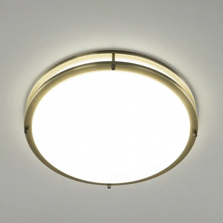 Накладной светильник Citilux Бостон CL709503N