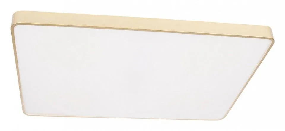 Накладной светильник Loft it Flims 10228/E