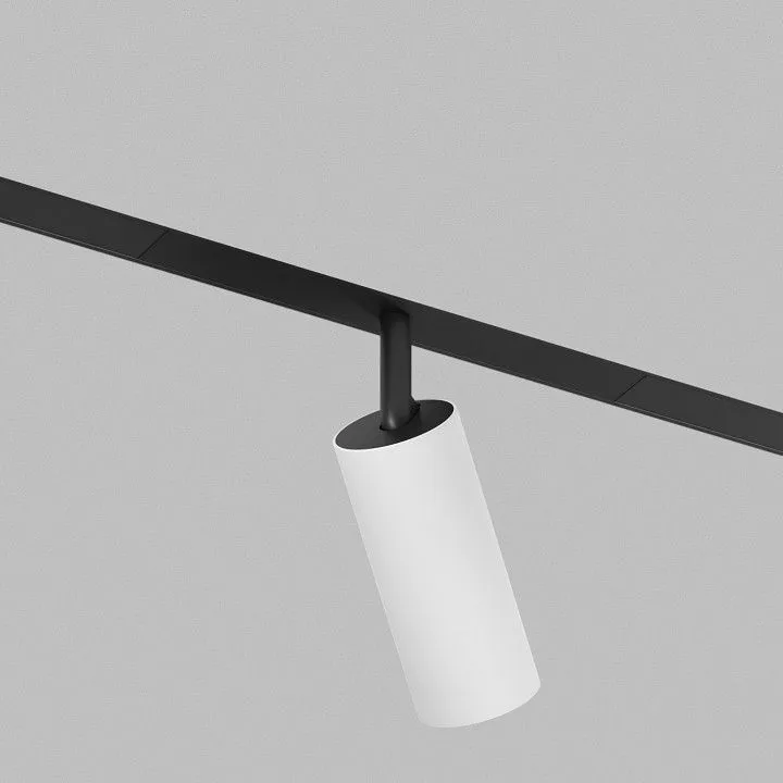 Светильник на штанге Denkirs SMART SPOT DK8040-BW+BK