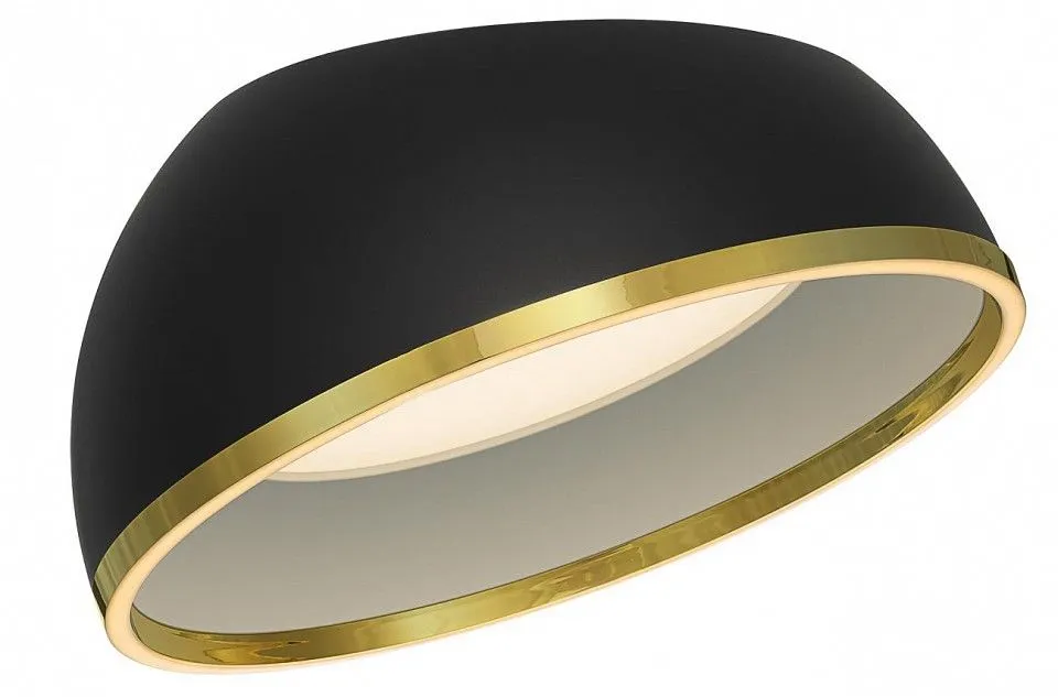 Накладной светильник Citilux FLOOM CL736151