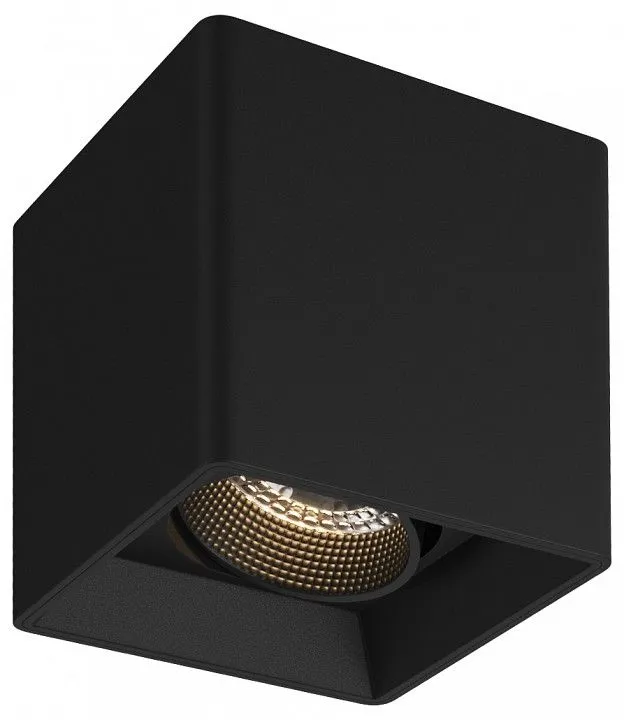 Накладной светильник Denkirs DK3020BВ DK3080-BK Накладной светильник Denkirs DK3020BВ DK3080-BK