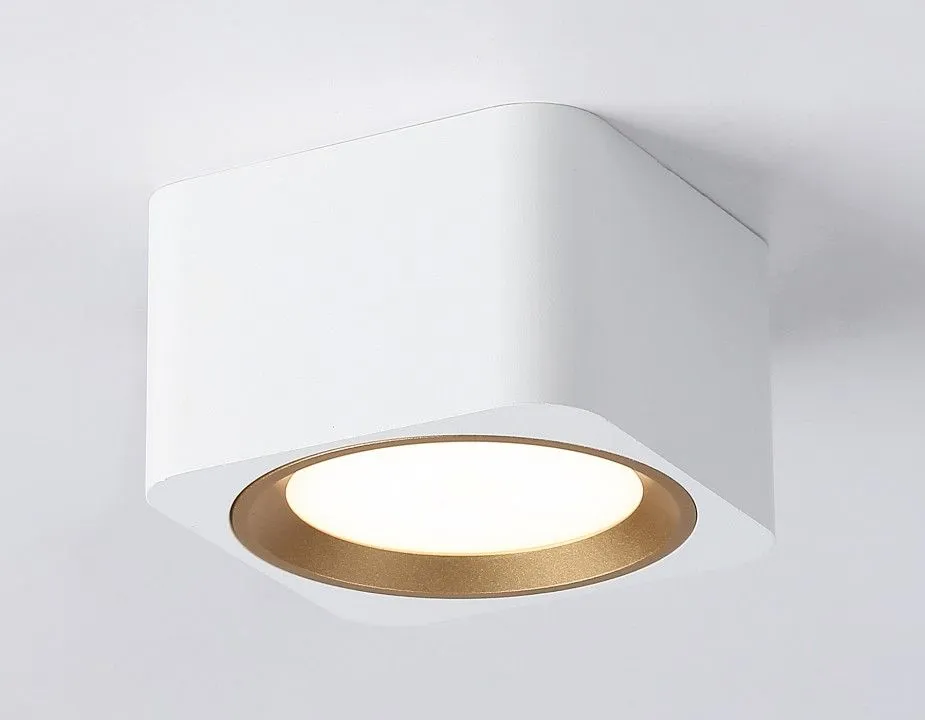 Накладной светильник Ambrella Light TN TN70831