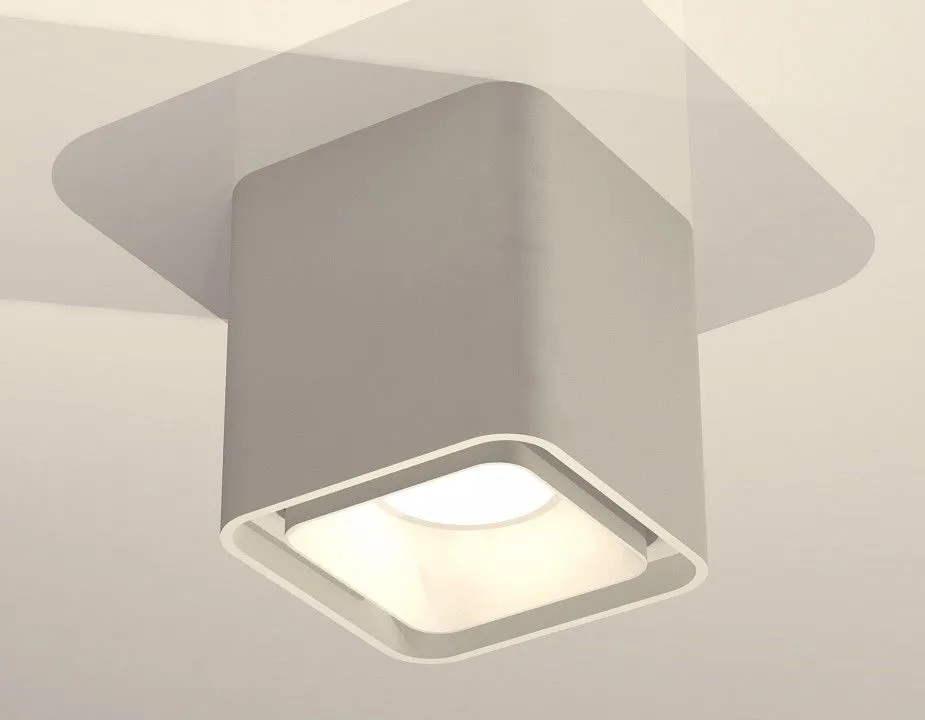 Накладной светильник Ambrella Light XS XS7840001