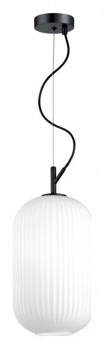 Подвесной светильник Odeon Light Roofi 4751/1
