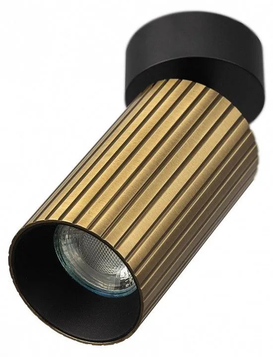 Накладной светильник Citilux AXEL CL512213R