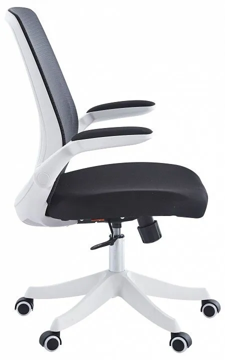 Кресло компьютерное Chairman Chairman CH565 00-07146048, 7146048 Кресло компьютерное Chairman Chairman CH565 00-07146048, 7146048