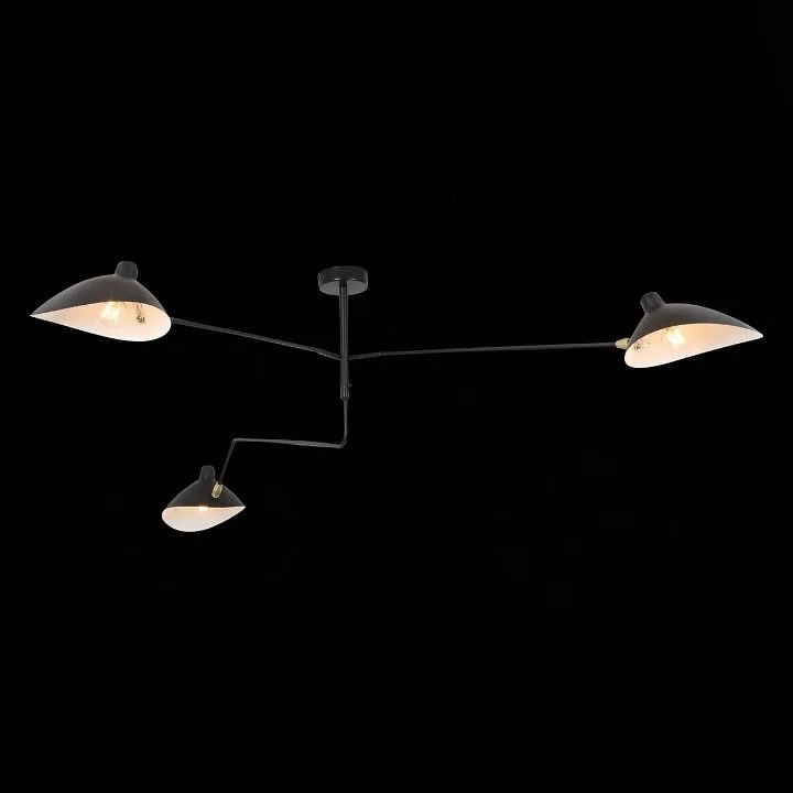 Люстра на штанге ST-Luce Spruzzo SL305.402.03