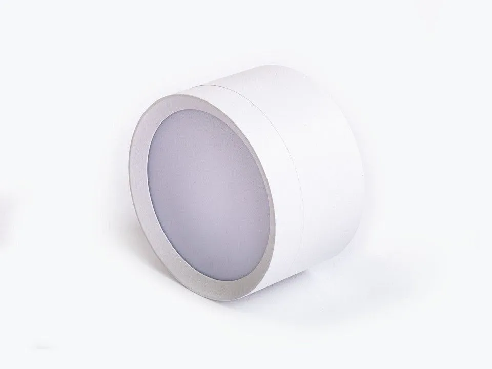 Накладной светильник LEDS POWER SPOT 009384