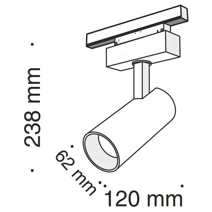 Светильник на штанге Maytoni Technical Фокус TR019-2-15W3K-B