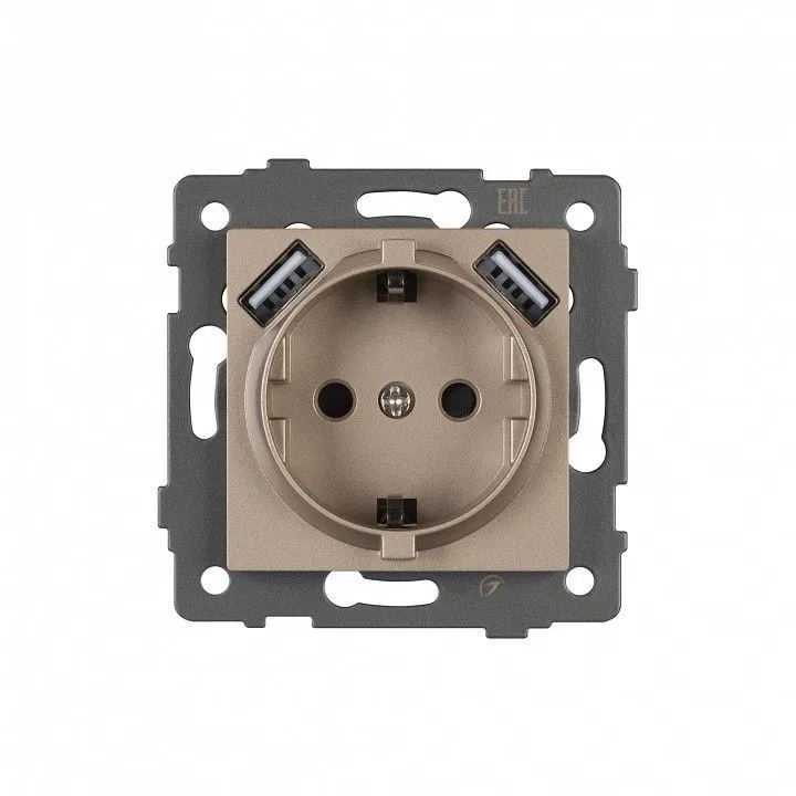 Розетка с заземлением и 2хUSB type A, без рамки Arlight SCT 049821