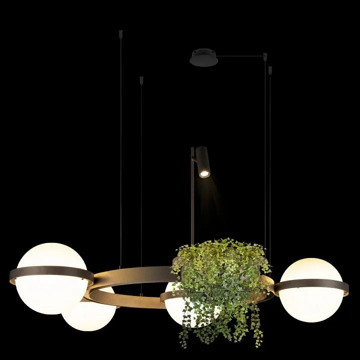 Подвесная люстра Loft it Jardin 10121/4 Dark grey