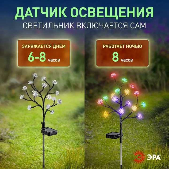 Наземный низкий светильник Эра  ERASF22-60
