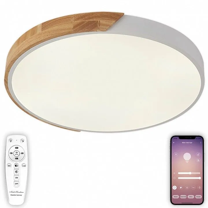 Накладной светильник Natali Kovaltseva Scandinavian LED LAMPS 81182