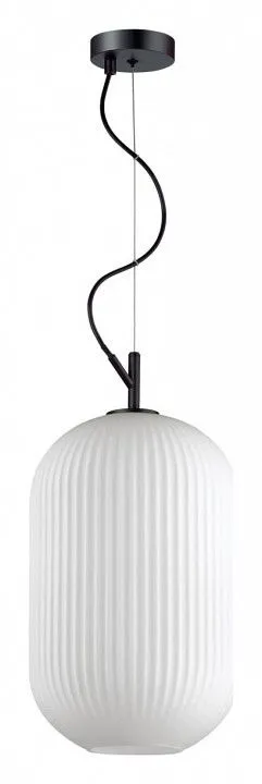 Подвесной светильник Odeon Light Roofi 4752/1