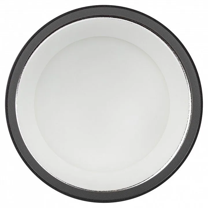 Подвесной светильник Эра  PL12 GX53 BK/SL