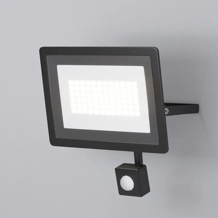 Настенно-потолочный прожектор Maytoni Outdoor Поток FL001-L50B6KSR