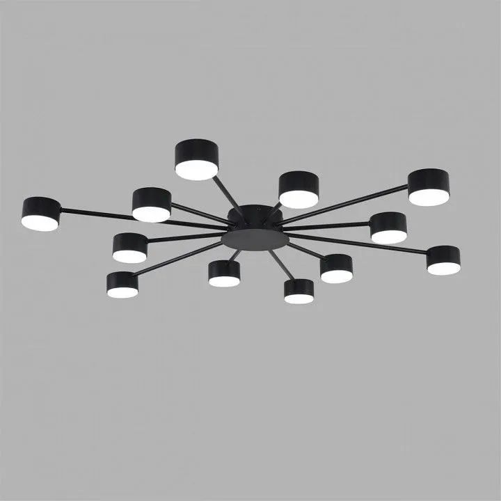 Потолочная люстра Lumion TORINA 8344/12C