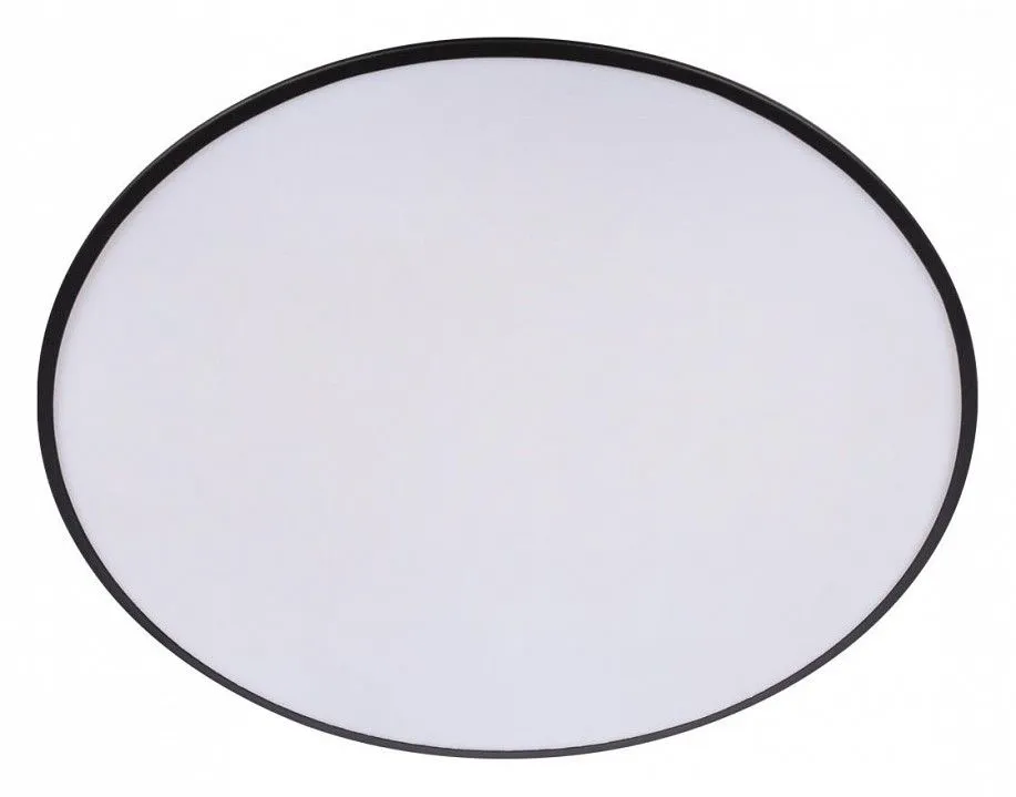 Накладной светильник Loft it Brim 10226 Black