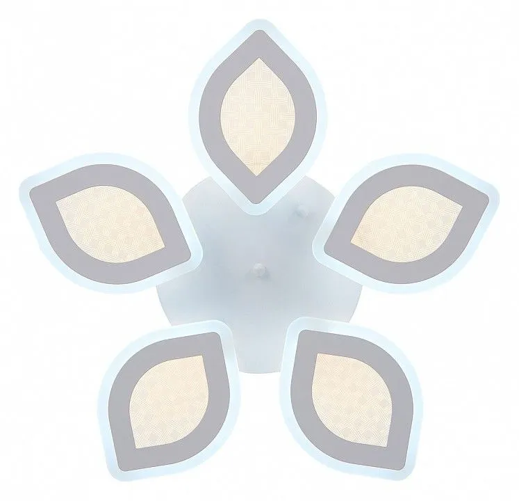 Потолочная люстра Natali Kovaltseva  LED LAMPS 81167