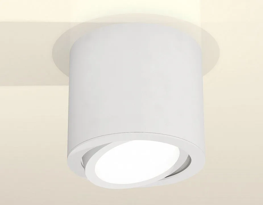 Накладной светильник Ambrella Light XS XS7401001