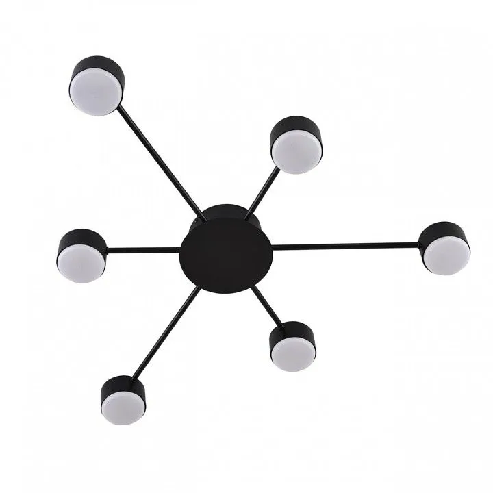 Потолочная люстра Lumion TORINA 8344/6C