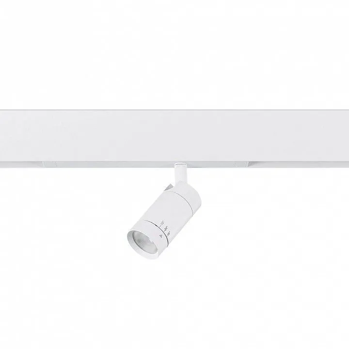 Светильник на штанге ST-Luce ST660 ST660.596.20