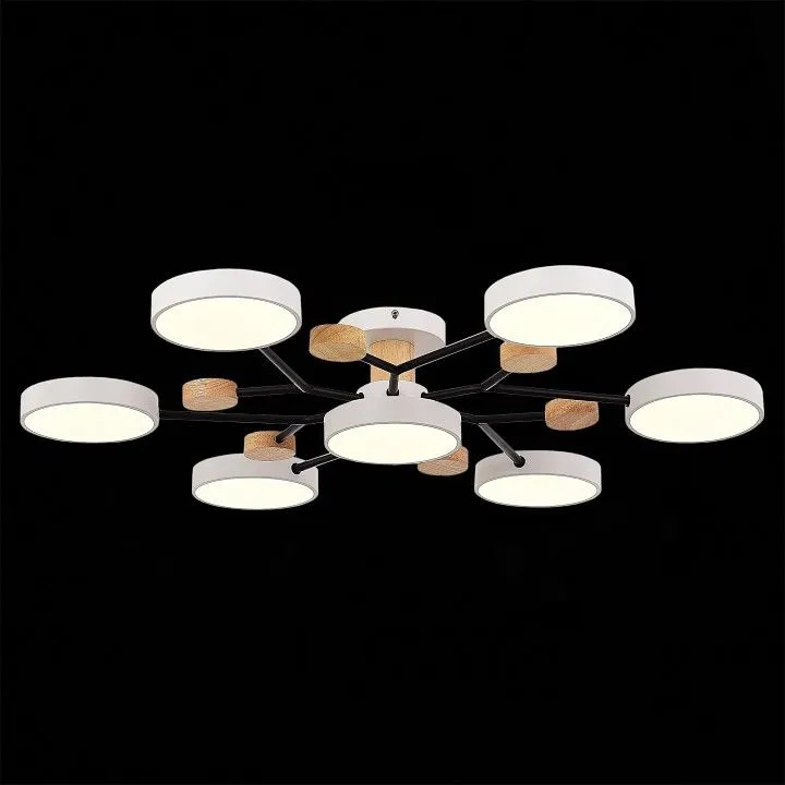 Потолочная люстра EVOLUCE Faema SLE6006-502-07 Потолочная люстра EVOLUCE Faema SLE6006-502-07