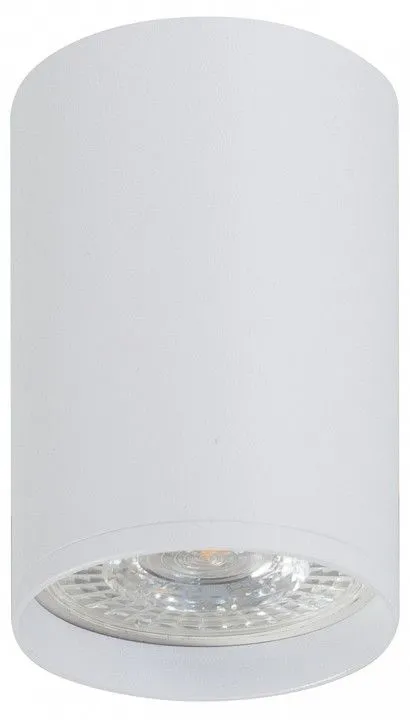 Накладной светильник Denkirs DK2000 DK2050-WH Накладной светильник Denkirs DK2000 DK2050-WH