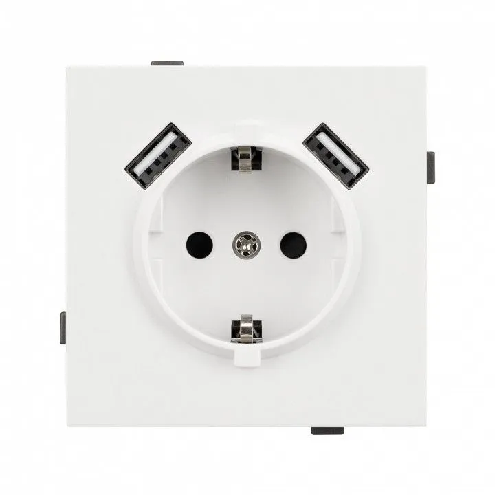 Розетка с заземлением и 2хUSB type A, без рамки Arlight SCT-TENDO 054606