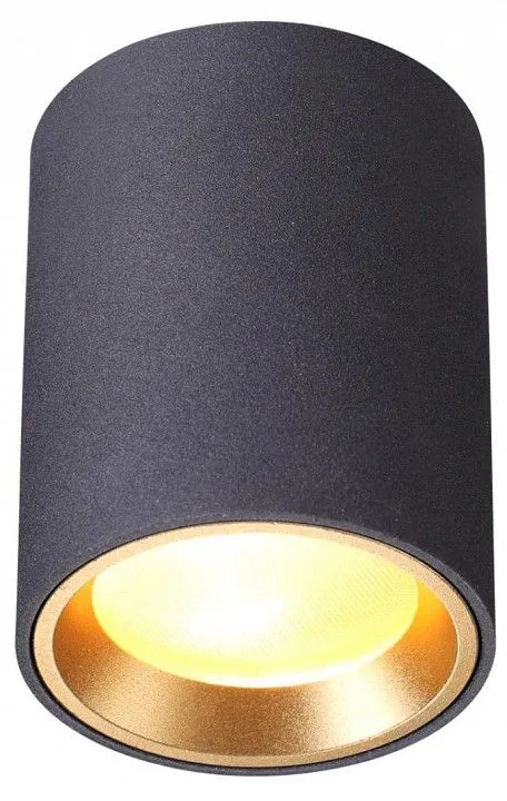 Накладной светильник Odeon Light Aquana 4205/1C
