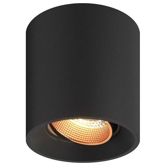 Накладной светильник Denkirs DK3020BВ DK3090-BBR Накладной светильник Denkirs DK3020BВ DK3090-BBR