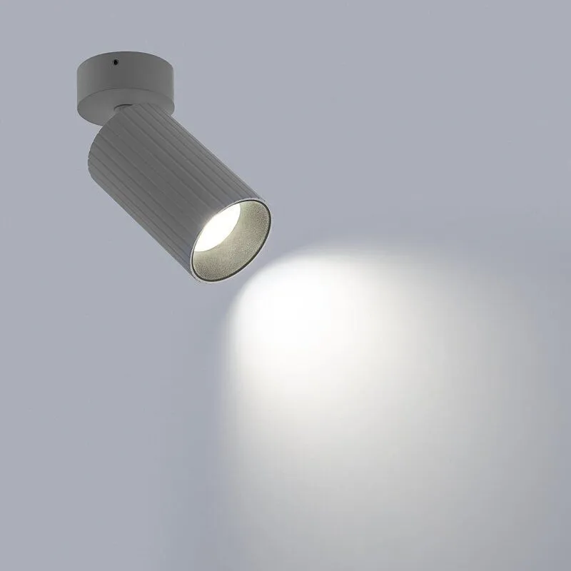 Светильник на штанге Citilux AXEL CL512210R