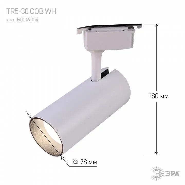 Светильник на штанге Эра  TR5-30 COB WH