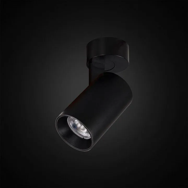 Спот Citilux Тубус CL01B071N