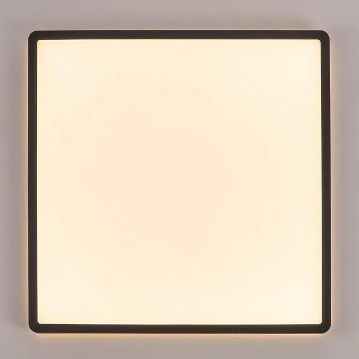Накладной светильник Citilux Norma CL748K401