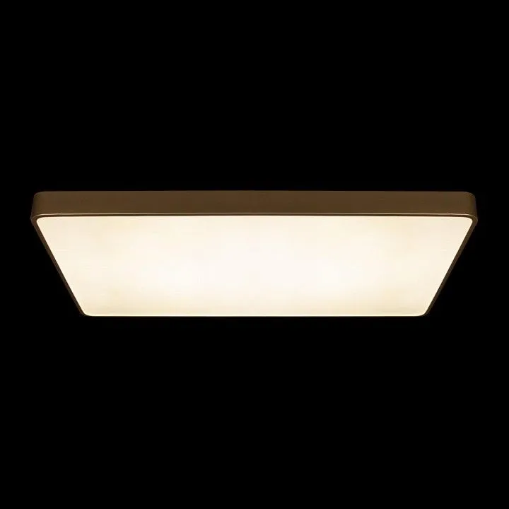 Накладной светильник Loft it Flims 10228/E