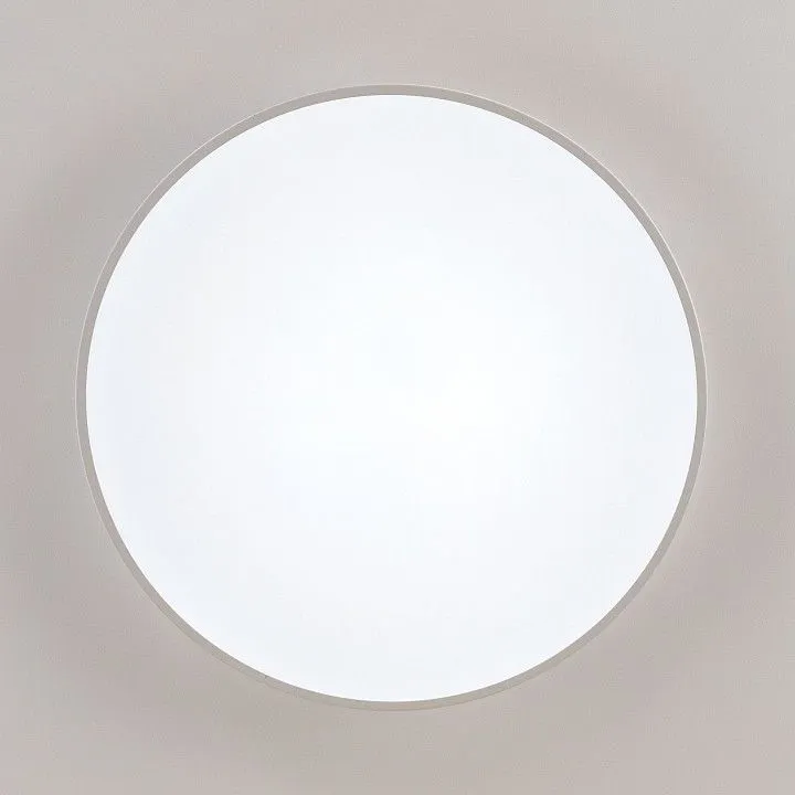 Накладной светильник Citilux Купер CL72495G0