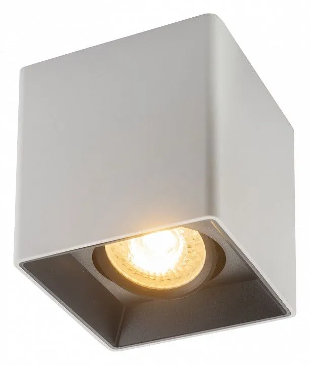 Накладной светильник Denkirs DK3020WB DK3030-WB Накладной светильник Denkirs DK3020WB DK3030-WB