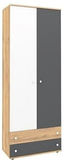 Шкаф платяной Лойс