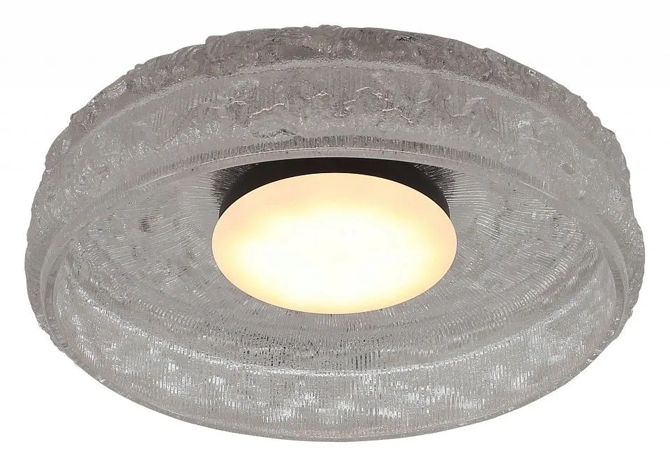 Накладной светильник ST-Luce ANTIKE SL6143.402.01